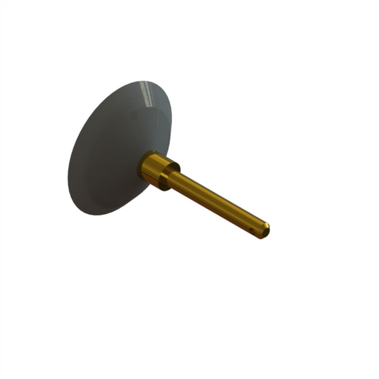 B-2416 Poppet for 2" Foot Valve