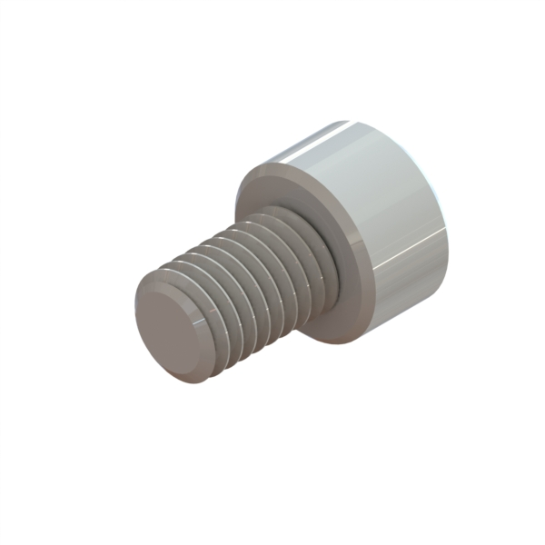 Fast-51 Screw M8X1.25X12 Hex Socket Zinc